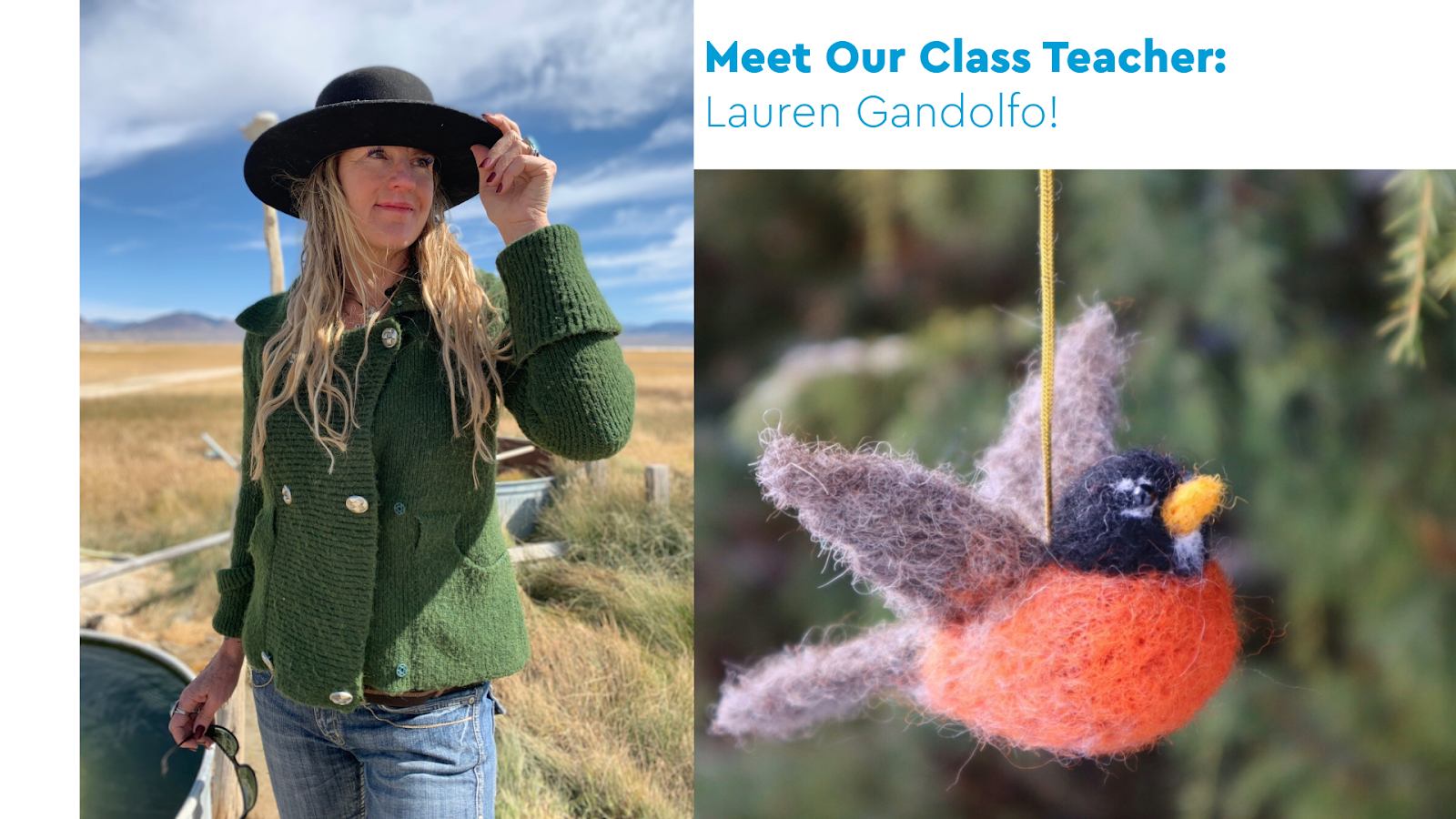 Meet Our Class Teacher: Lauren Gandolfo!