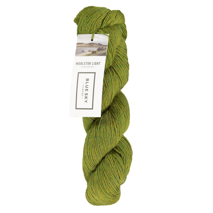 Blue Sky Fibers Woolstok Light Yarn - 2309 Earth Ivy - Zoom Image
