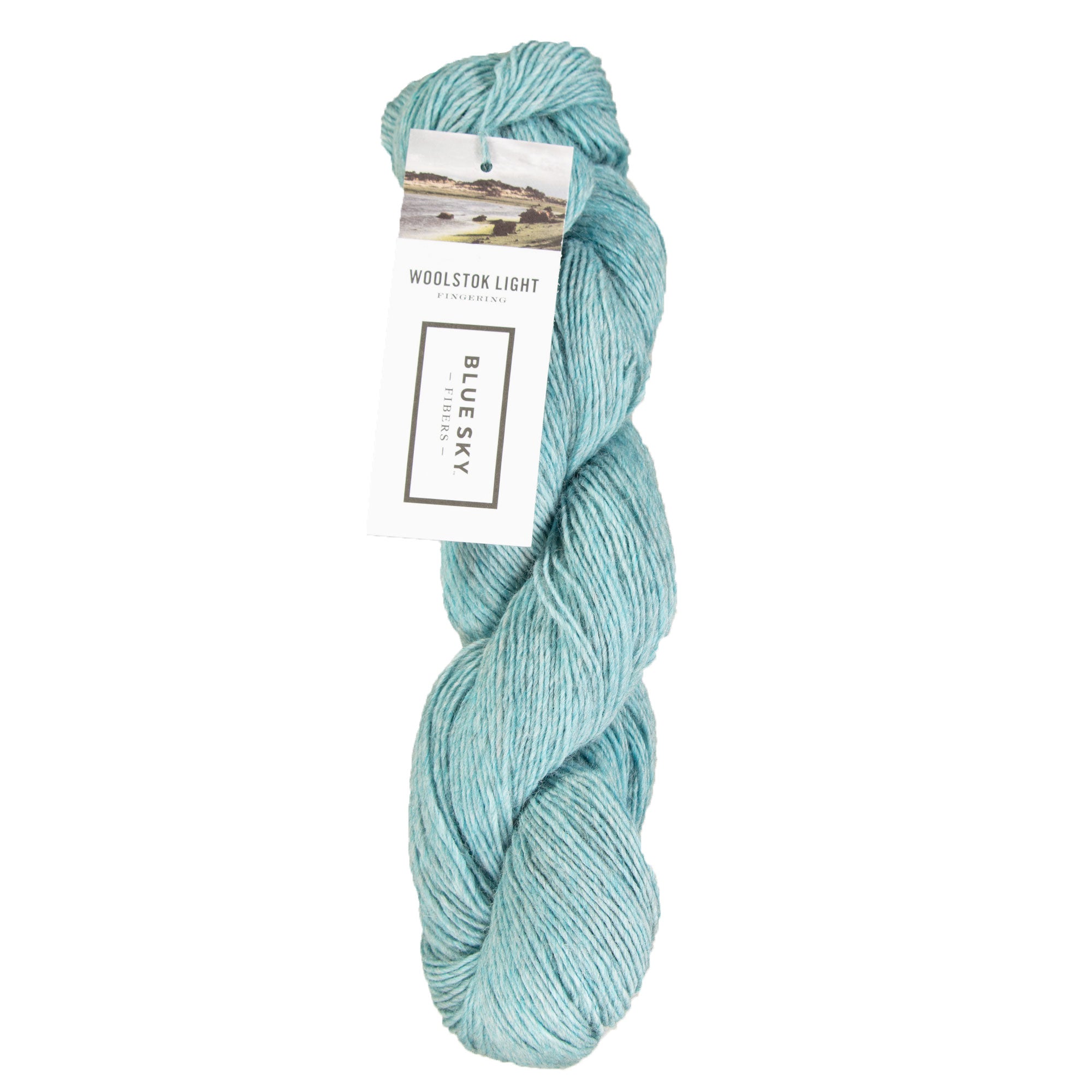 Blue Sky Fibers Woolstok Light Yarn - 2320 Spring Ice - Zoom Image