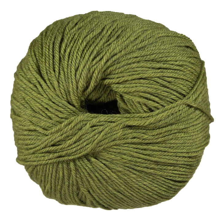 Cascade Yarns 220 Superwash Yarn - 1919 Turtle - Zoom Image