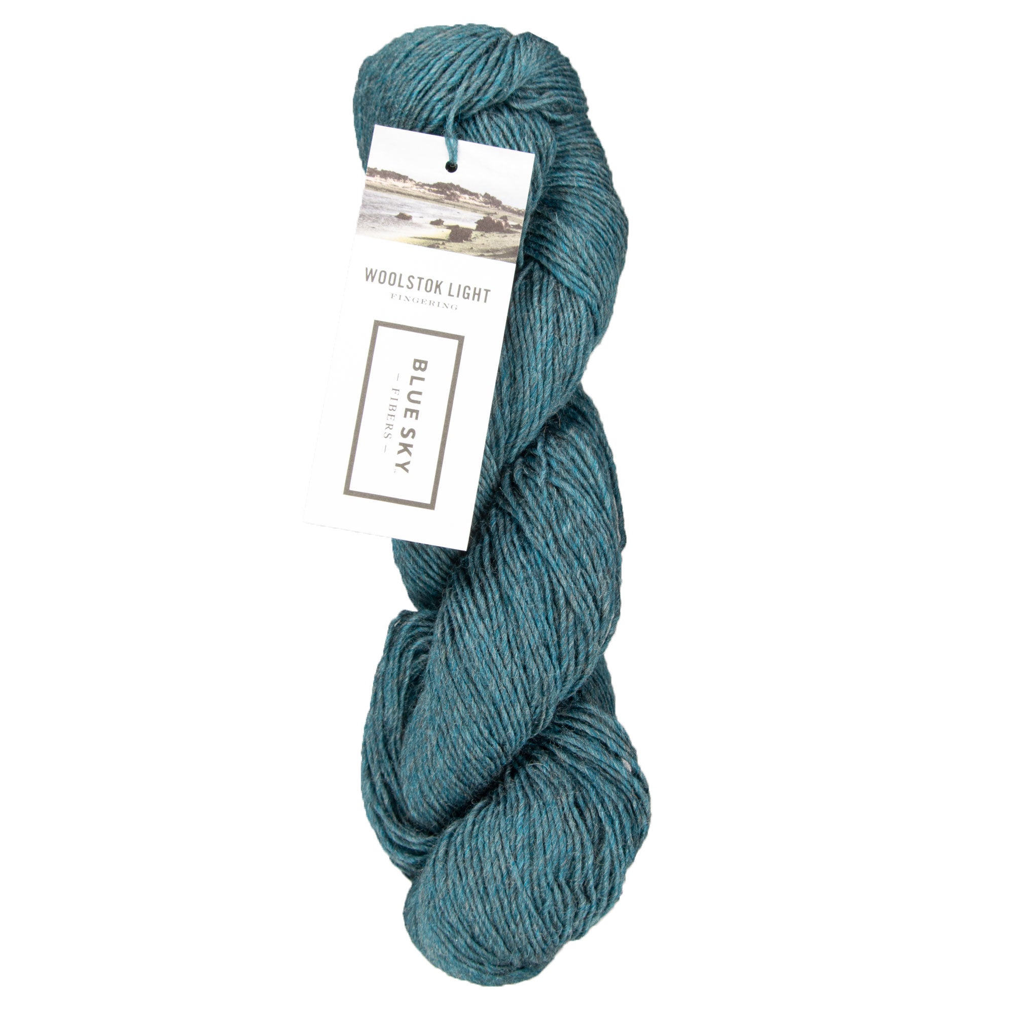 Blue Sky Fibers Woolstok Light Yarn - 2321 Loon Lake - Zoom Image