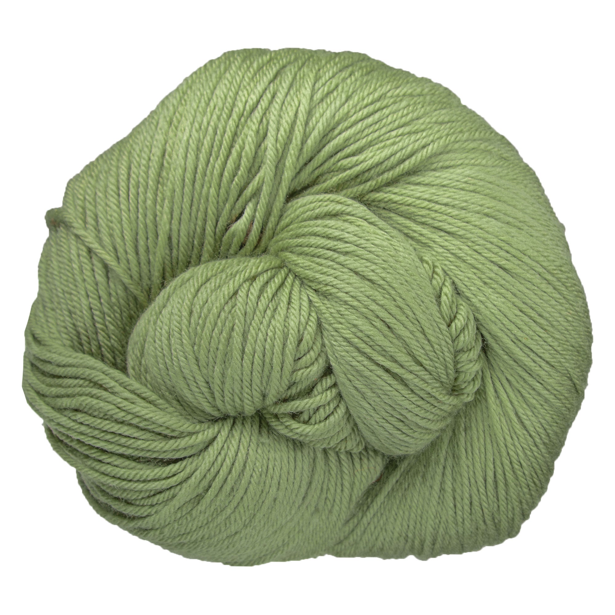 Malabrigo Rios Yarn - 641 Eucalipto - Zoom Image