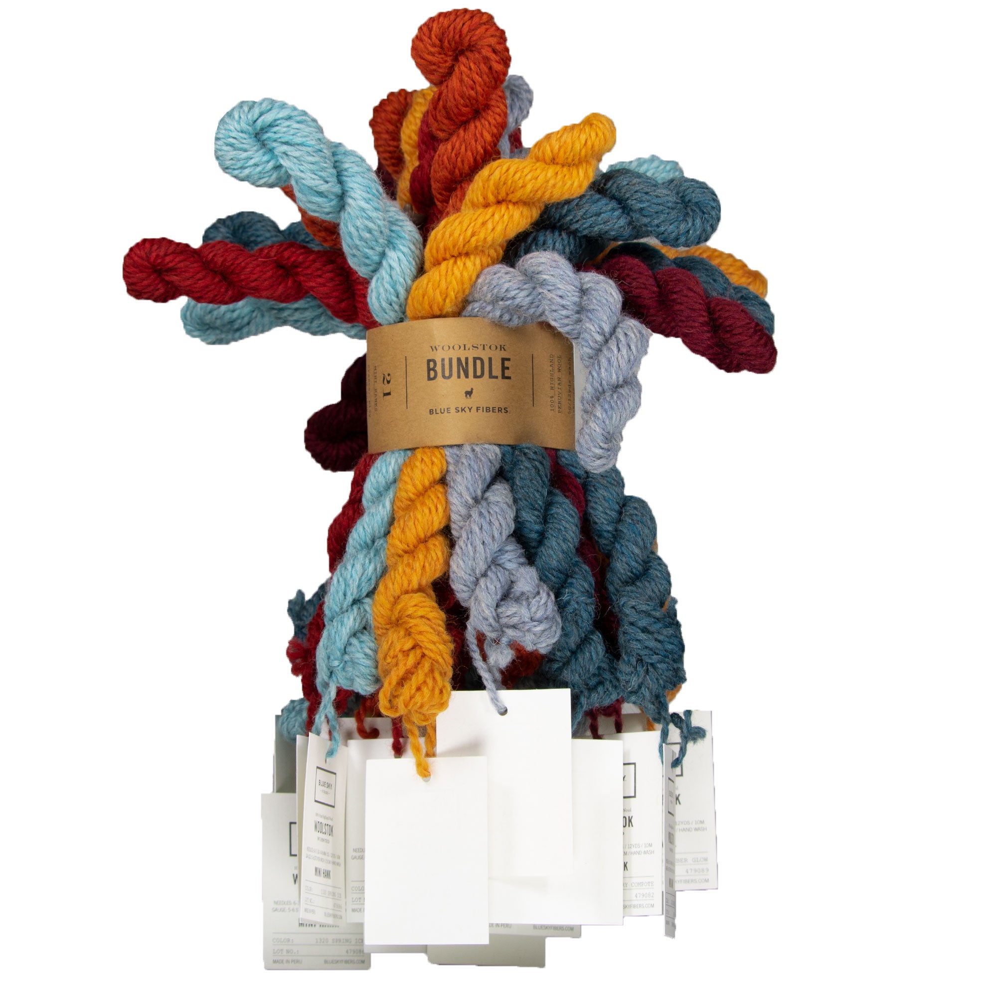 Blue Sky Fibers Woolstok Bundles Yarn - Fire & Ice - Zoom Image