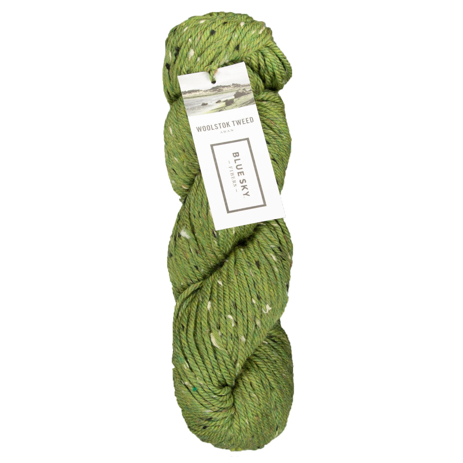 Blue Sky Fibers Woolstok Tweed (Aran) Yarn - 3307 Fern Frond - Zoom Image