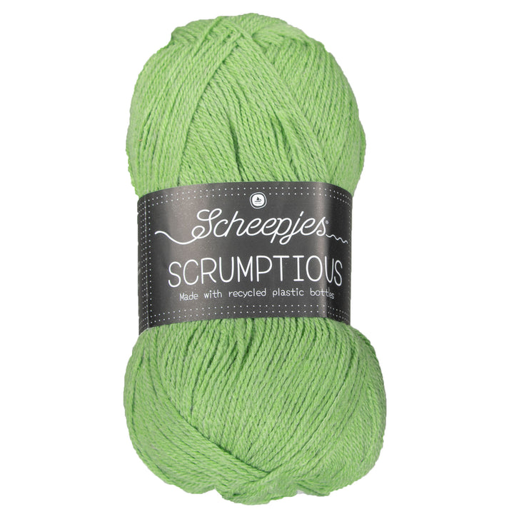 Scheepjes Scrumptious Yarn - 318 Pistachio Bundt Cake - Zoom Image