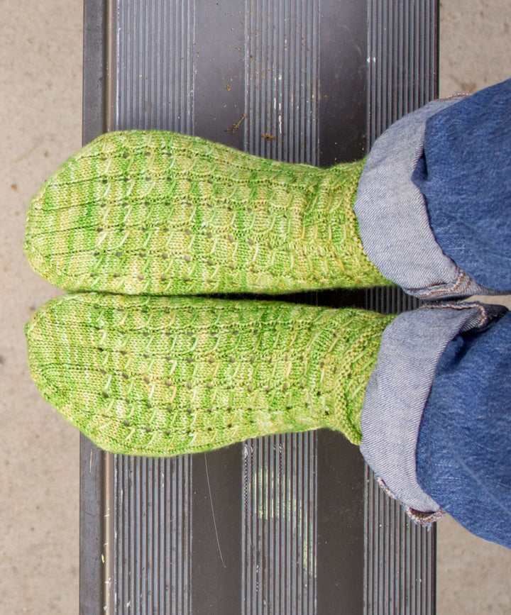 Leslie's Rubus suberectus Socks - Main Image 4