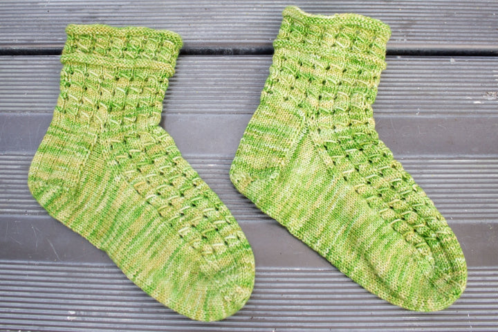 Leslie's Rubus suberectus Socks - Main Image 2