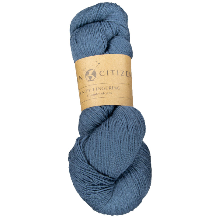 Yarn Citizen Unity Fingering Yarn - Thunderstorm - Zoom Image
