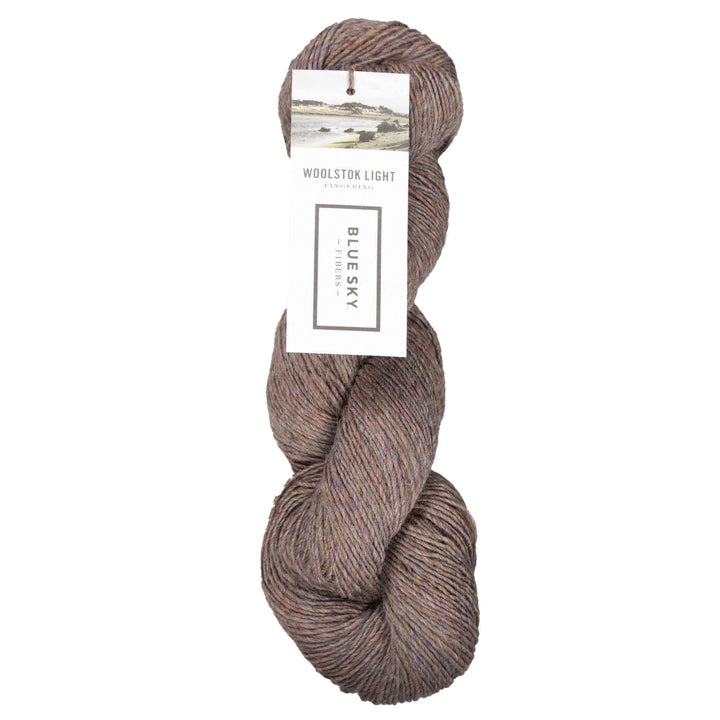 Blue Sky Fibers Woolstok Light Yarn - 2322 Northern Lights - Zoom Image