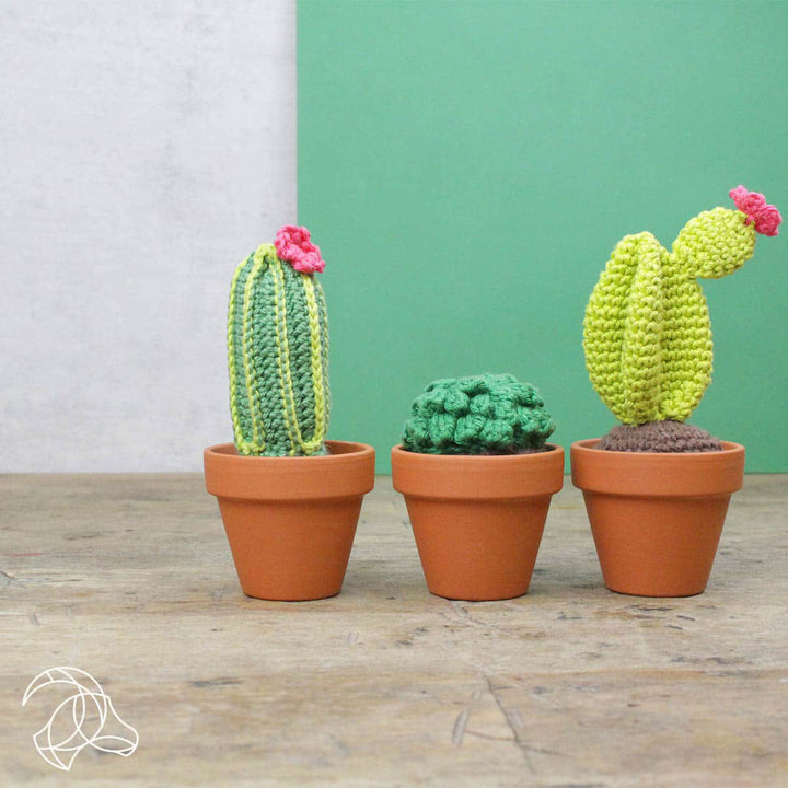Hardicraft Plush Toys - Cacti (Crochet) - Extra Image
