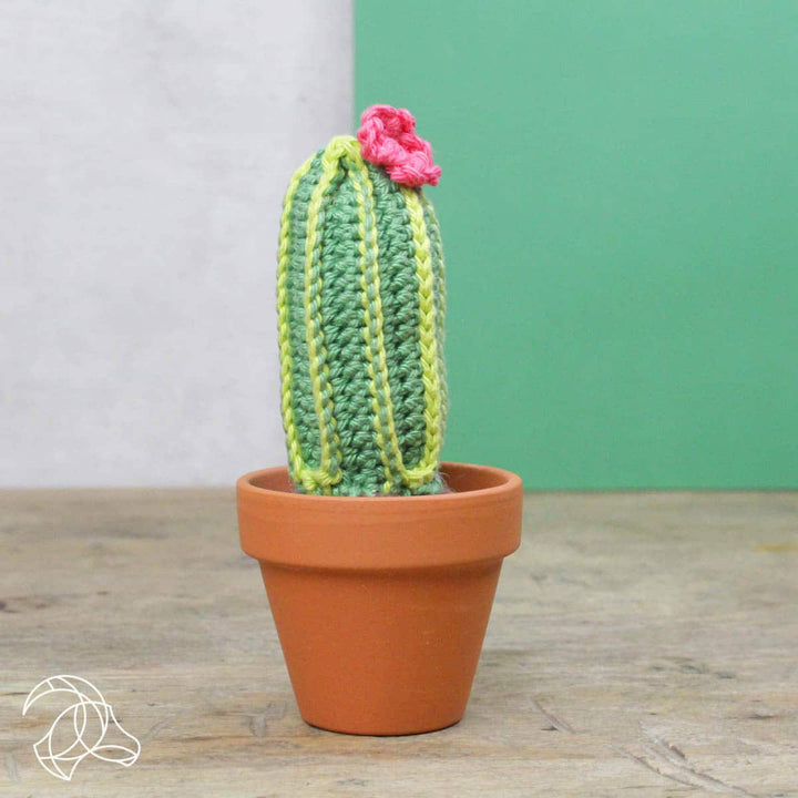 Hardicraft Plush Toys - Cacti (Crochet) - Extra Image
