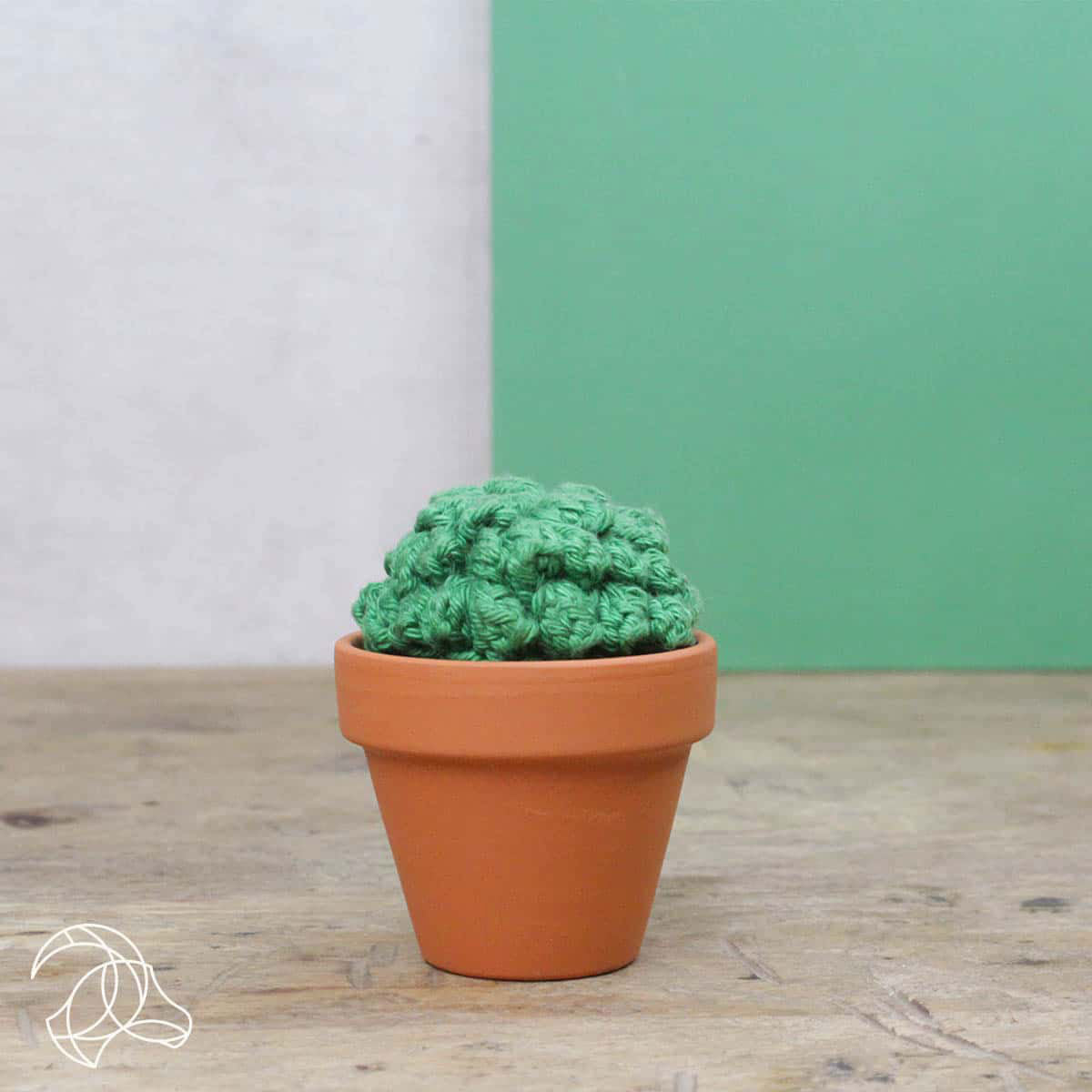 Hardicraft Plush Toys - Cacti (Crochet) - Extra Image
