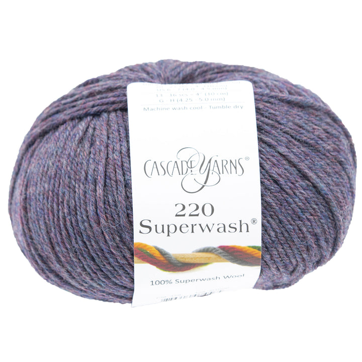 Cascade Yarns 220 Superwash Yarn - 0379 Liberty Heather - Zoom Image