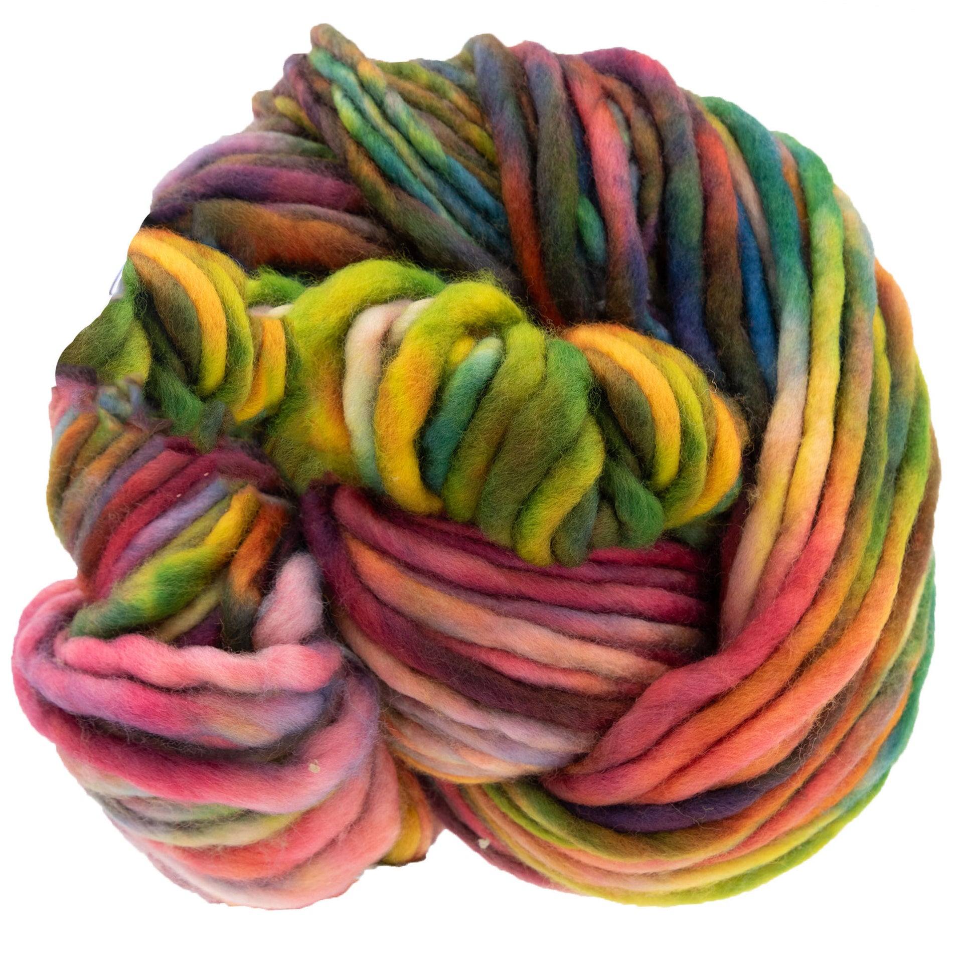 Dream in Color Savvy Yarn - Anything Goes - Zoom Image
