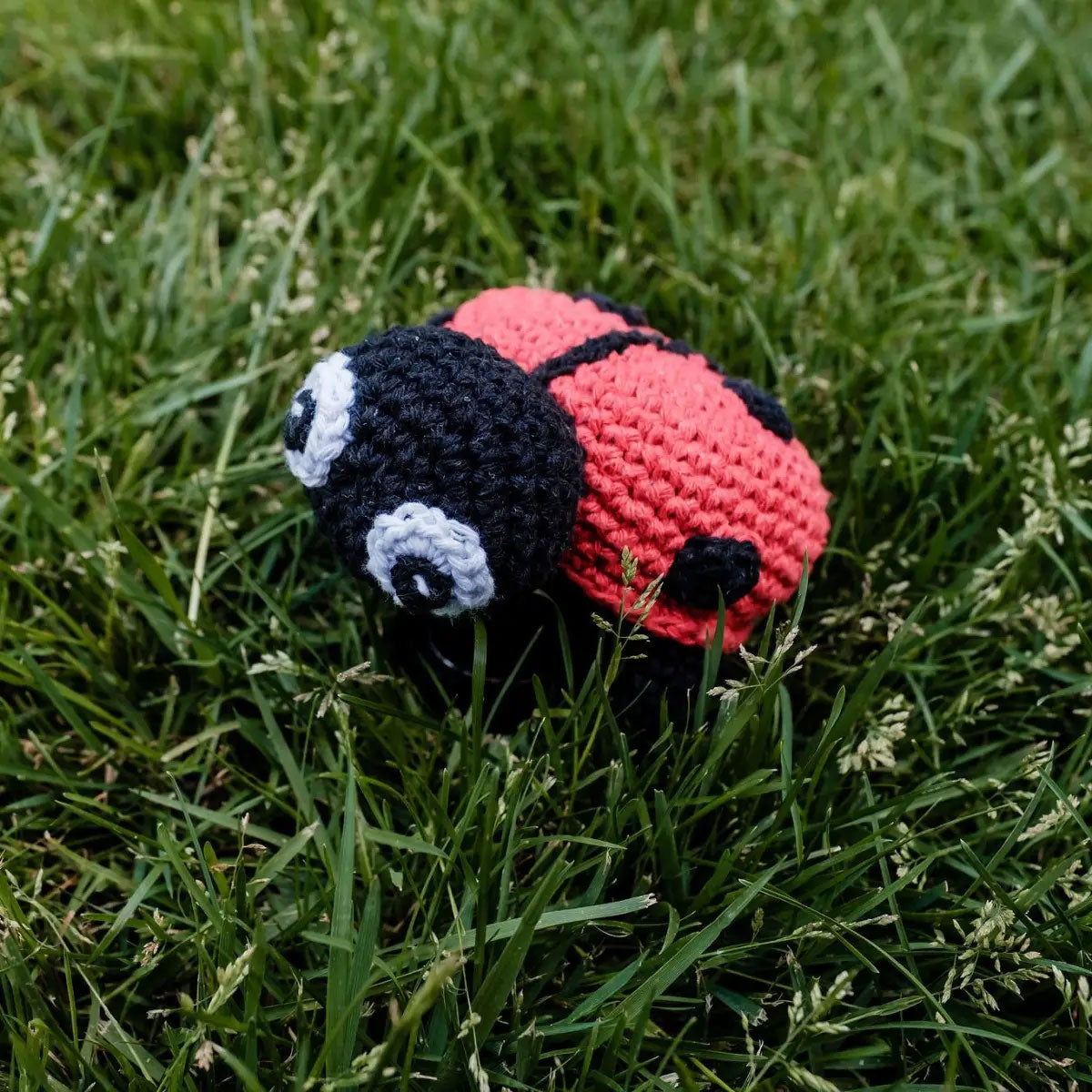 Hoooked Plush Crochet Toys - Ladybird Daisy - Extra Image