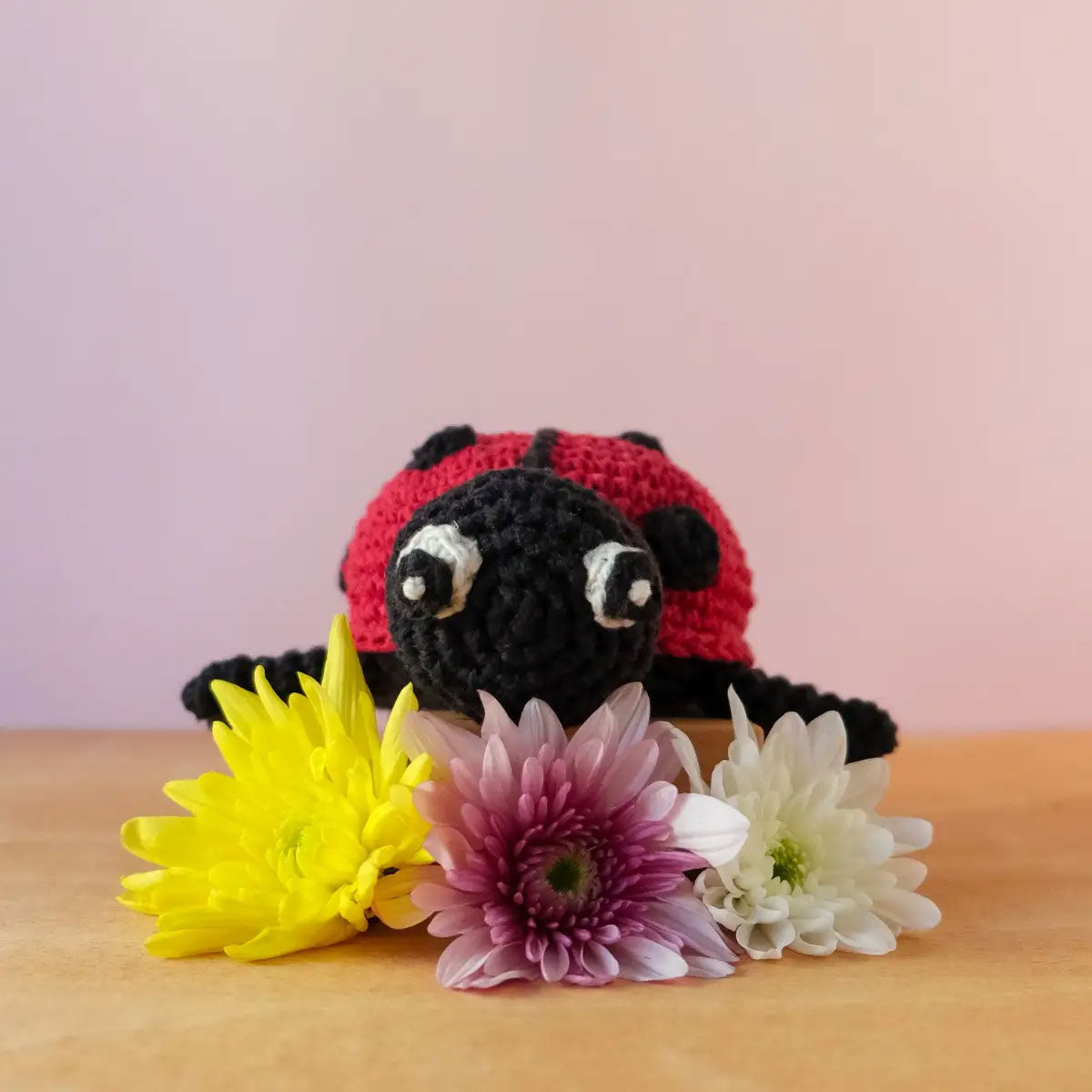 Hoooked Plush Crochet Toys - Ladybird Daisy - Extra Image