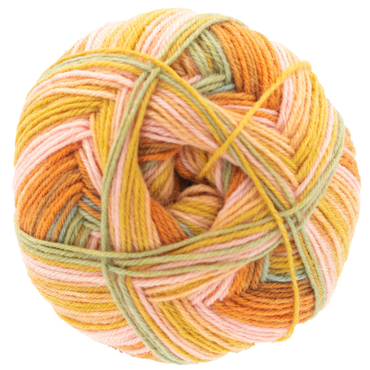 Scheepjes Arcadia Yarn - 902 Mesa - Zoom Image