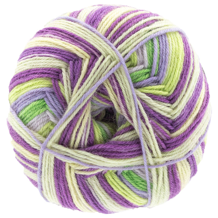 REGIA 4-Ply Color Yarn - 2738 - Lilac Green Color - Extra Image