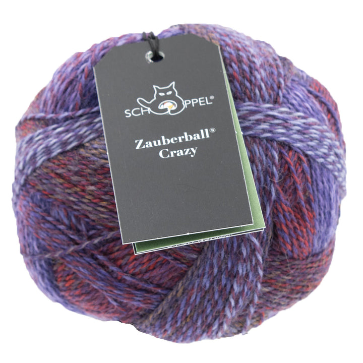 Schoppel Wolle Zauberball Crazy Yarn - 2311 - Extra Image