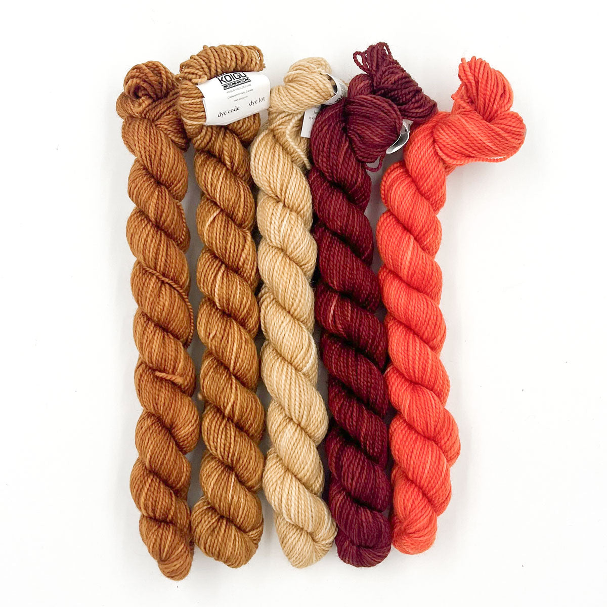 Koigu Paint Cans Yarn - Browns - Extra Image