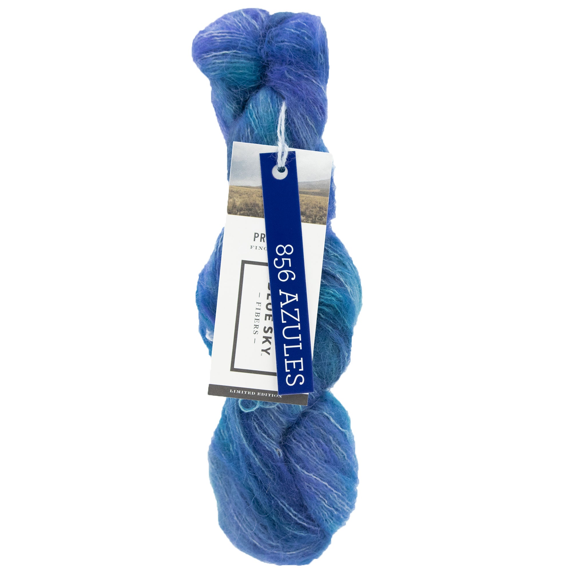 Blue Sky Fibers Hand Dyed Prairie Yarn - 11856 - Azules - Zoom Image