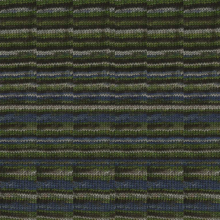 KFI Collection Indulgence Organic Sock Yarn - 102 Monteverde - Zoom Image