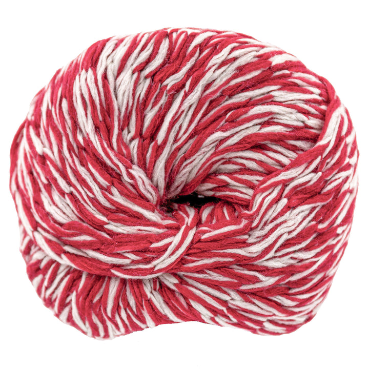 Berroco Bestie Yarn - 10551 This & That - Zoom Image