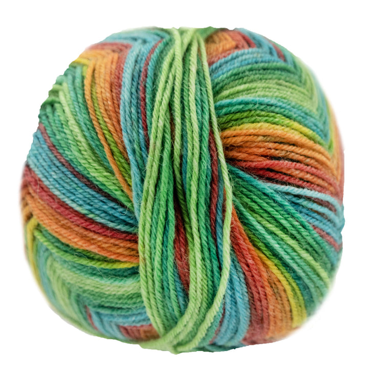 Opal Regenwald: 20th Anniversary Edition Yarn - 9777 Love In The Ghost Train - Extra Image