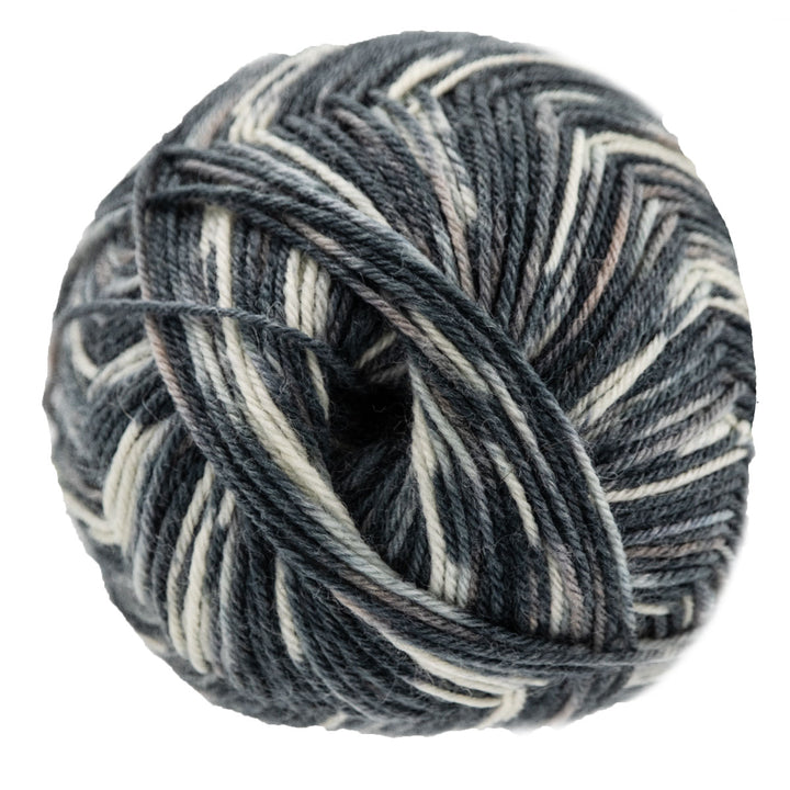 Opal Regenwald: 20th Anniversary Edition Yarn - 4004 Lord Marlon - Extra Image
