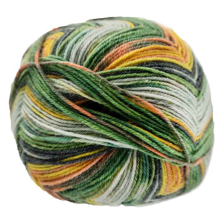 Opal Regenwald: 20th Anniversary Edition Yarn - 9770 Stefan Schreit In Der Achterbahn - Extra Image