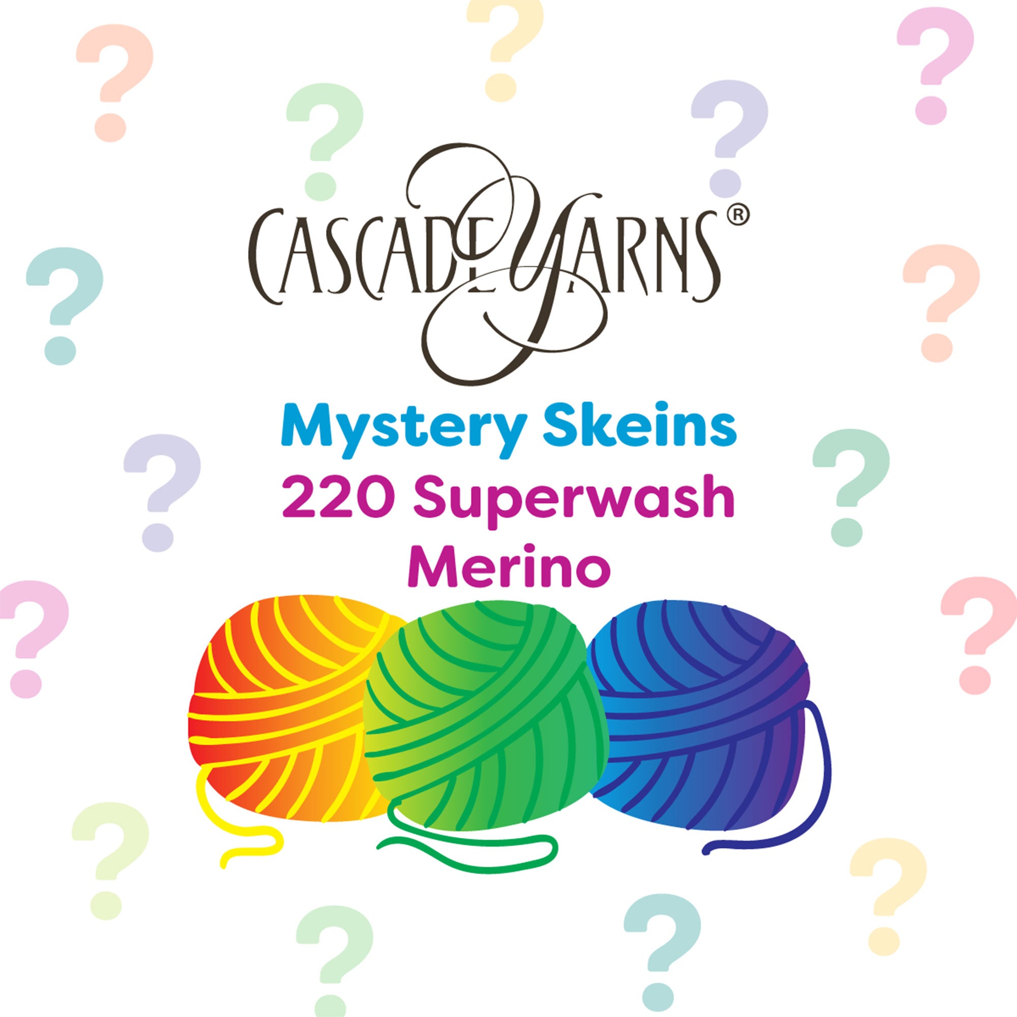 Cascade Yarns 220 Superwash Merino One of a Kind Yarn - Mystery Skein - Zoom Image