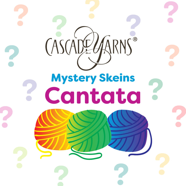 Cascade Yarns Cantata One of a Kind Yarn - Mystery Skein - Zoom Image