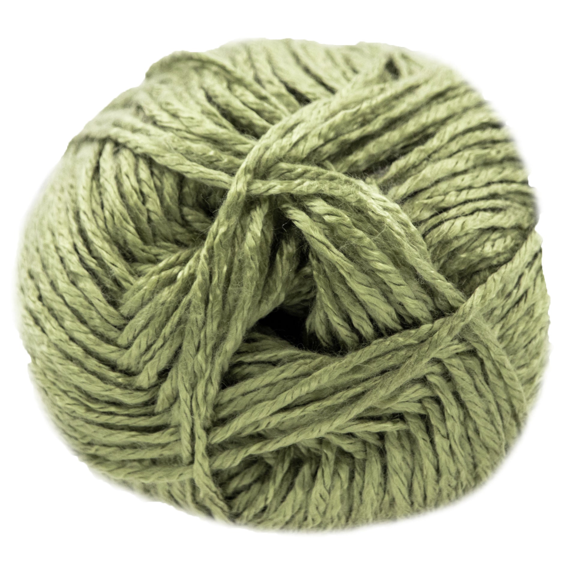Jimmy Beans Wool Beanstalk Worsted Yarn - 017 Herb Garden - Zoom Image