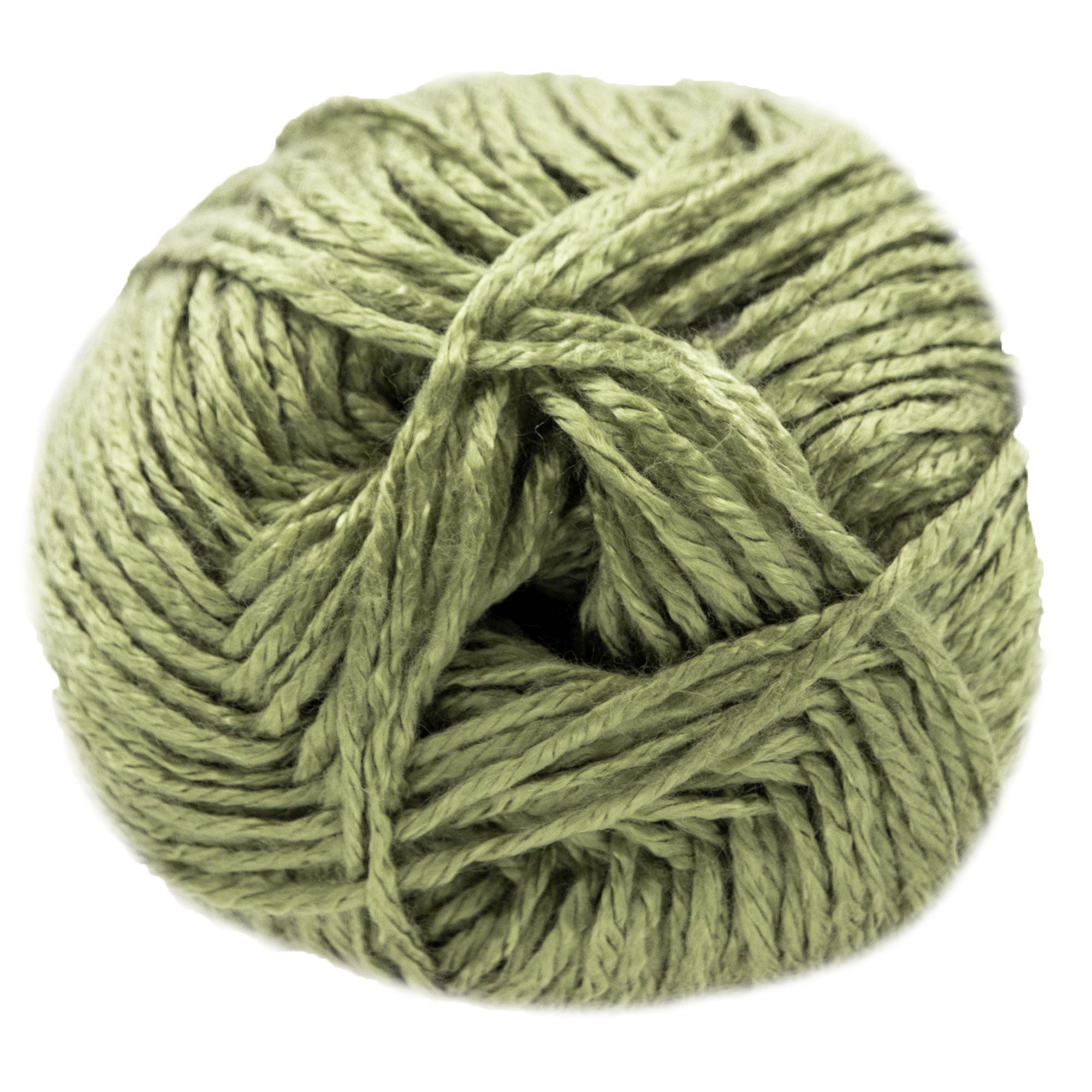 Jimmy Beans Wool Beanstalk Worsted Yarn - 017 Herb Garden - Zoom Image