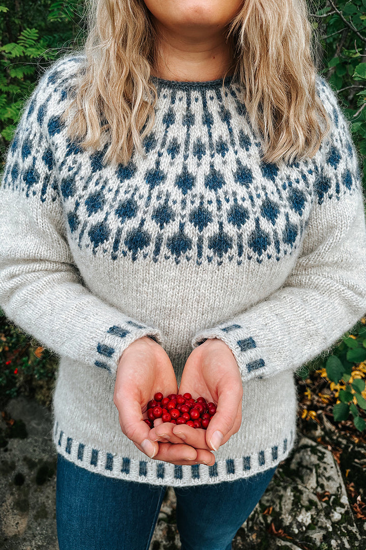 Lopi Blueberry Sweater Kit - Extra Image