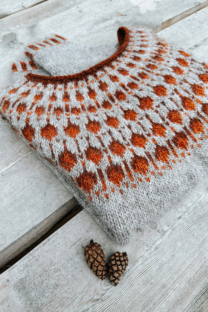 Lopi Cloudberry Sweater Kit - Extra Image