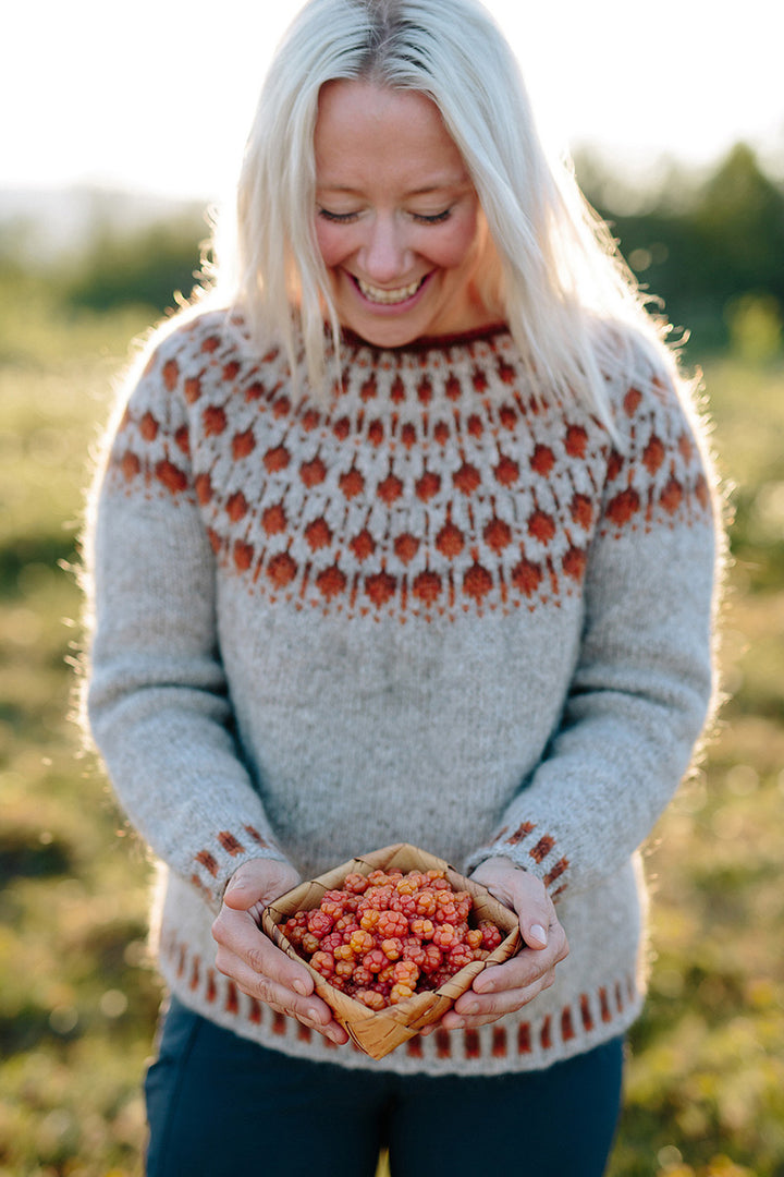 Lopi Cloudberry Sweater Kit - Extra Image