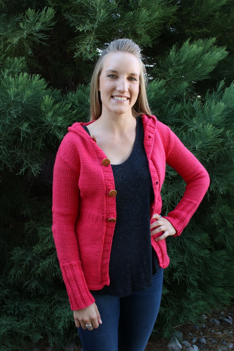 Blue Sky Fibers' Everyday Hoodie - Main Image 1