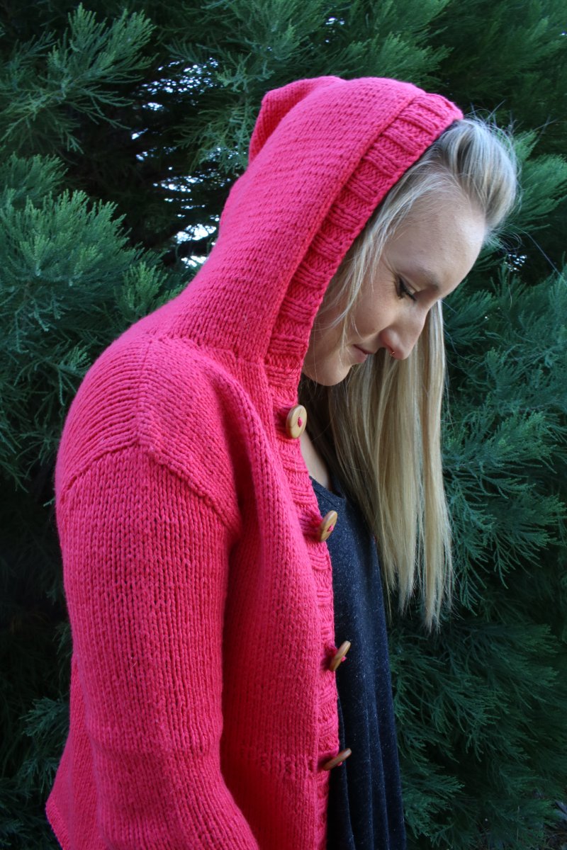 Blue Sky Fibers' Everyday Hoodie - Main Image 3