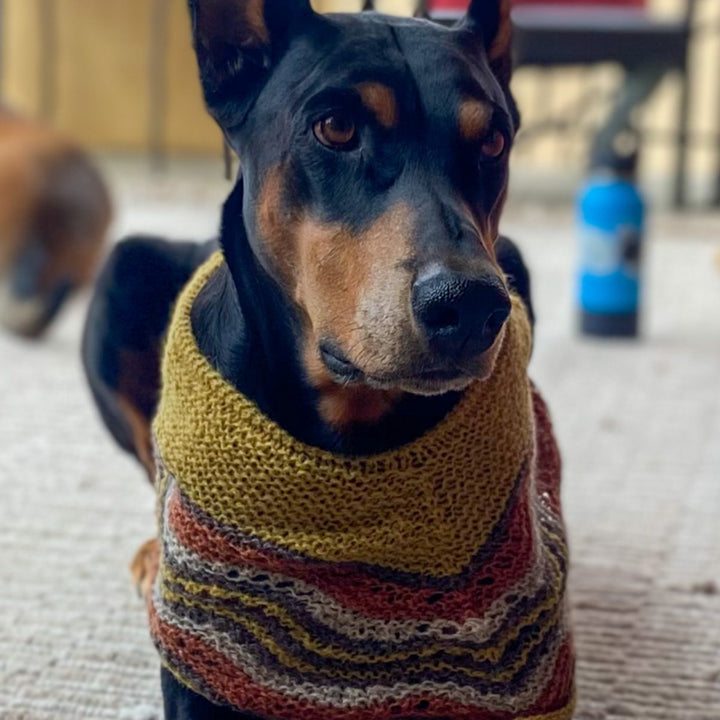 Laura's Hapkerchief - Main Image 1