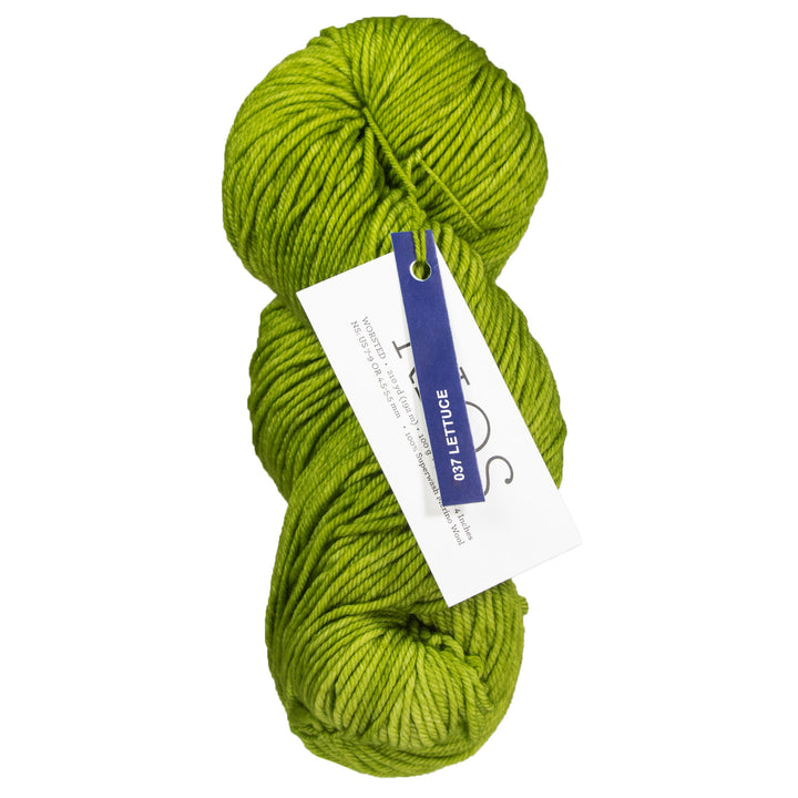 Malabrigo Rios Yarn - 037 Lettuce - Zoom Image