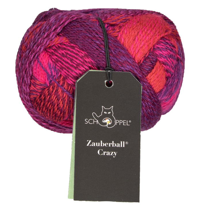 Schoppel Wolle Zauberball Crazy Yarn - 2095 - Extra Image