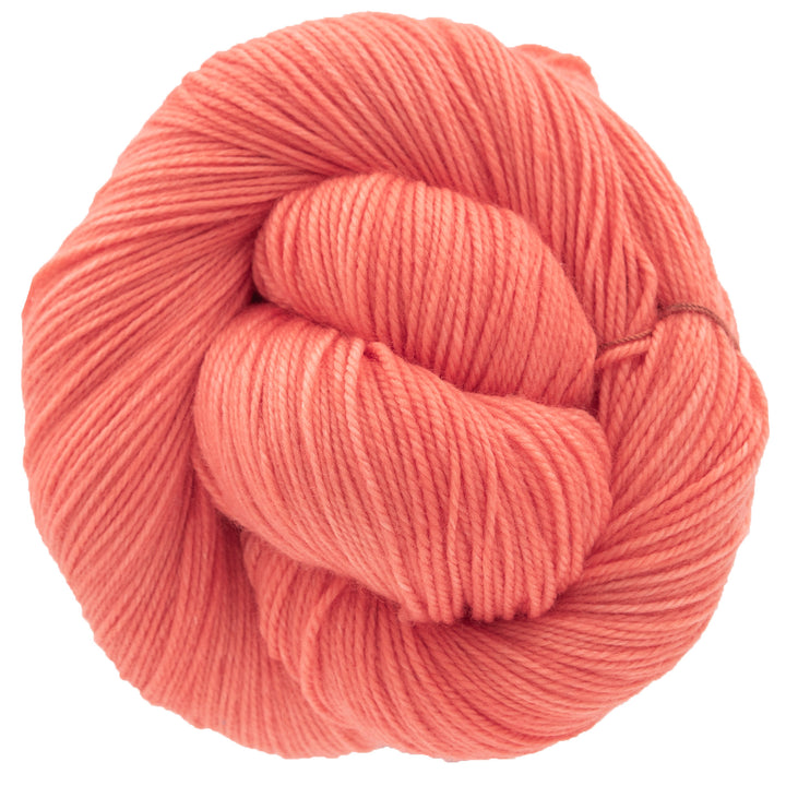 Dream in Color Smooshy Yarn - Melon Bomb - Zoom Image