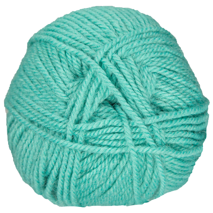 Plymouth Yarn Encore Worsted Yarn - 0459 Lagoon - Zoom Image