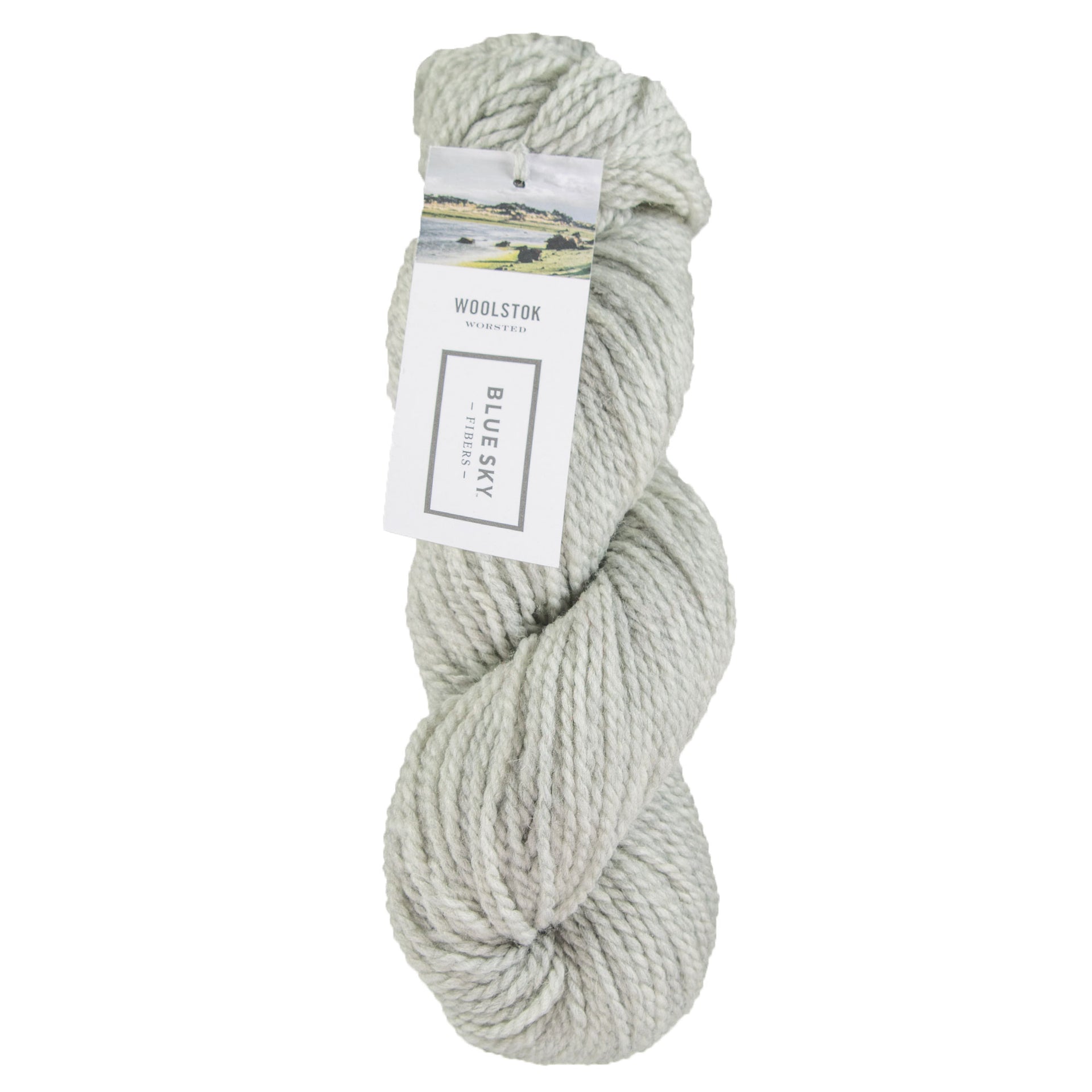 Blue Sky Fibers Woolstok Yarn - 1304 Grey Harbor - Zoom Image