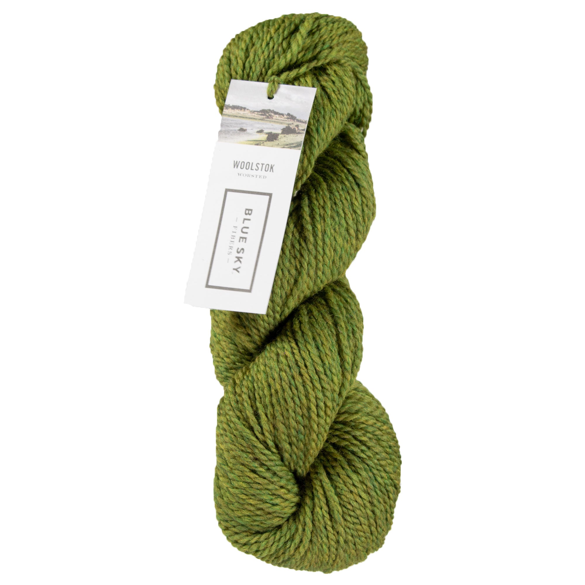 Blue Sky Fibers Woolstok Yarn - 1309 Earth Ivy - Zoom Image