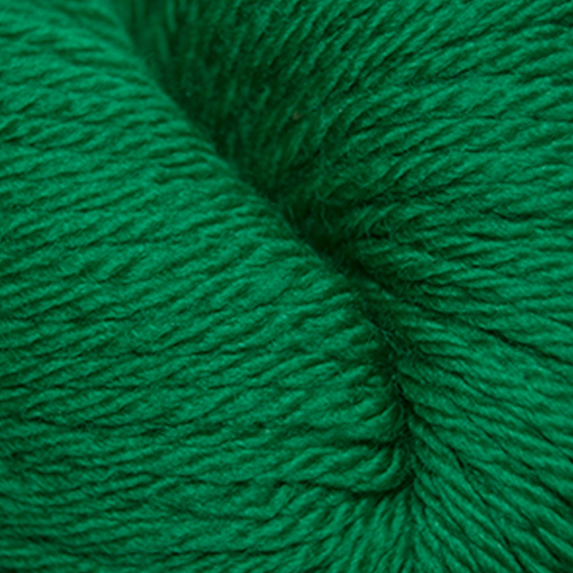 Cascade Yarns 220 Superwash Sport Yarn - 0864 Christmas Green - Zoom Image