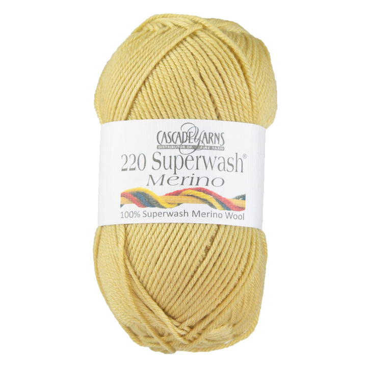 Cascade Yarns 220 Superwash Merino Yarn - 070 Silver Fern - Zoom Image