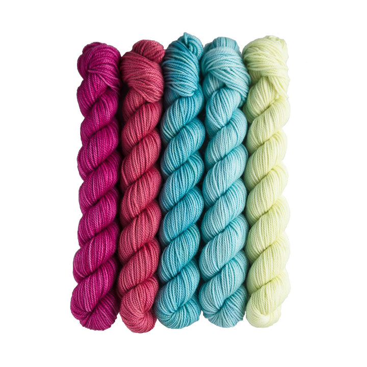 SweetGeorgia Tough Love Sock Party of Five Mini-Skein Set Yarn - Candy Shop - Zoom Image