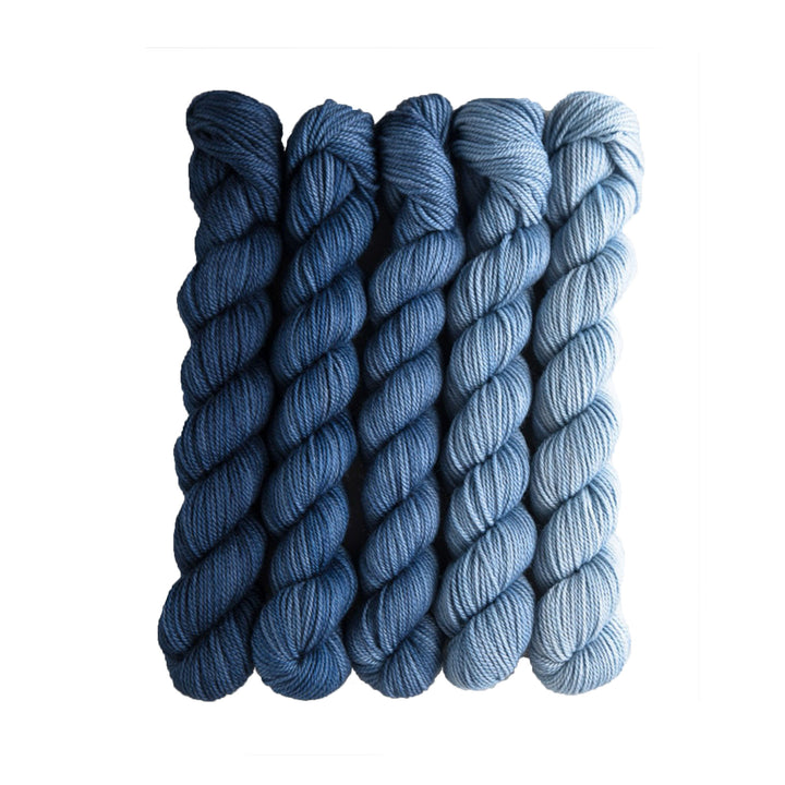 SweetGeorgia Tough Love Sock Party of Five Mini-Skein Set Yarn - Voyage - Zoom Image